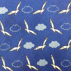 Raffaello Birds Wings Sky Clouds Fun Novelty Theme Italy 100% Silk men necktie