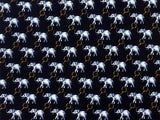 Kailong TIE Elephant on Black Animal Theme Repeat Novelty Silk Necktie 19